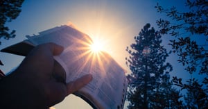 A hand holding a bible with sun radiating behind.