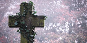 A large Latin cross gravestone with crawling vines wrapping around. In a British cemetery in Staffordshire, England.