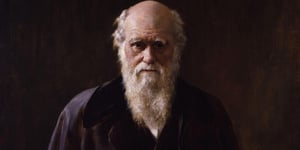 Cropped detail of File:Charles Robert Darwin by John Collier.jpg, given to the National Portrait Gallery, London in 1896.