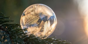 Ice bubble on branch