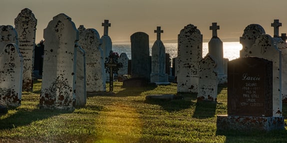 Sunlit Cemetery on a cliff by the sea.