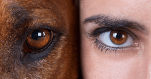 what makes humans different from other animals
