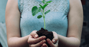 two hands holding a pile of dirt with a plant sprouting out of it