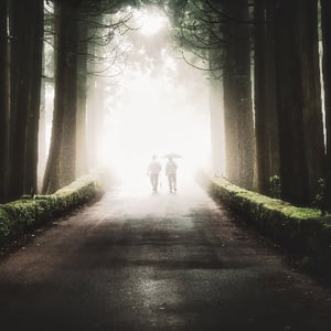 Clic to learn if near-death experiences are just a physical reaction of the body.