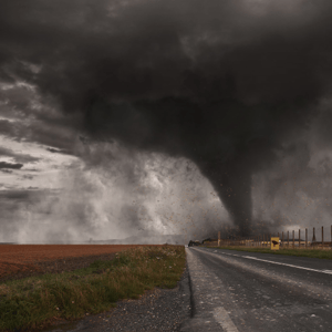 Click to read about why God allows suffering caused by nature.