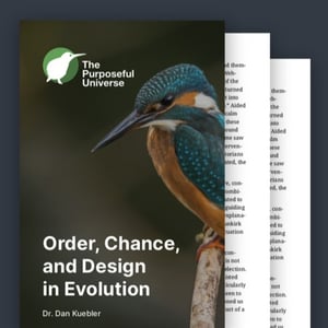 Click to download ebook.
