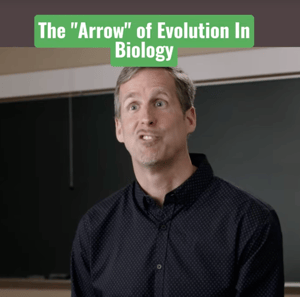 Screen Shot 2022-12-31 at 9.59.16 AM