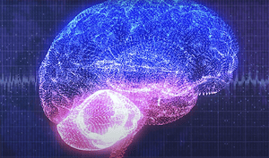 A colorful illustration of a brain.