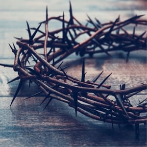 course Jesus divinity