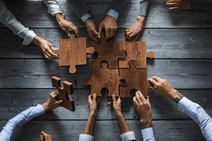 organizational development