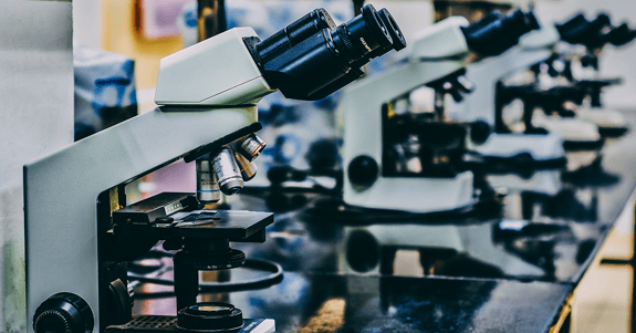 microscopes | Purposeful Universe